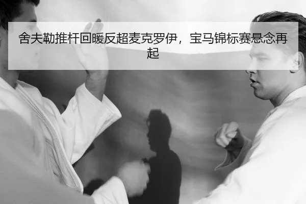 she-fu-lei-tui-gan-hui-nuan-fan-chao-mai-ke-luo-yi-bao-ma-jin-biao-sai-xuan-nian-zai-qi-2-887.jpg