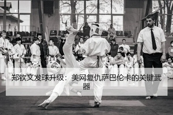 zheng-qin-wen-fa-qiu-sheng-ji-mei-wang-fu-chou-sa-ba-lun-ka-de-guan-jian-wu-qi-2-376.jpg